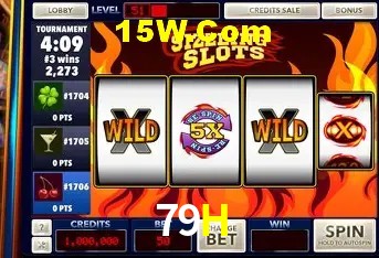 79H Rio de Janeiro - Licenses